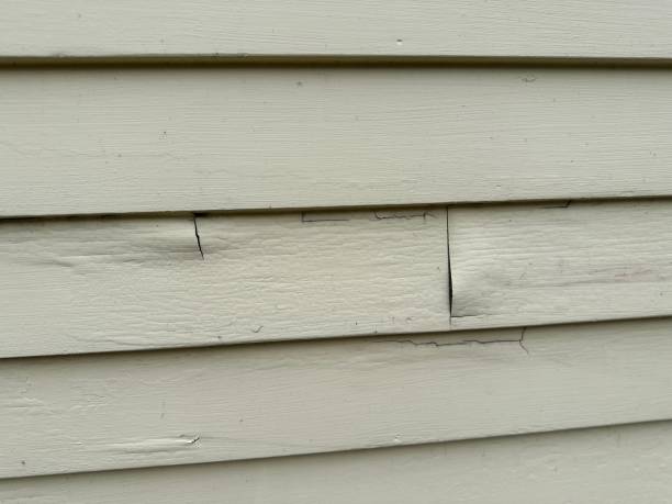 Best Siding for New Construction  in West Palm Beach, FL